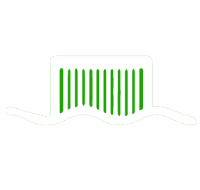 Seaweed